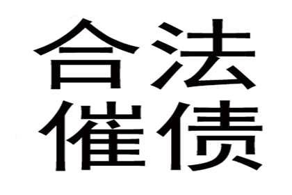 法院诉讼解决债务问题有何后果？